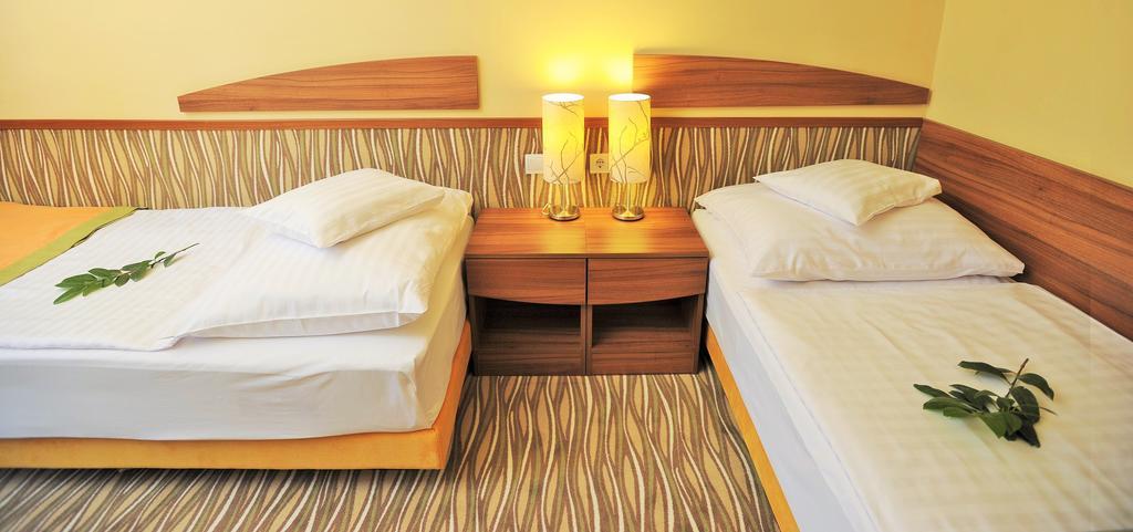 Park Hotel Gyula Rom bilde
