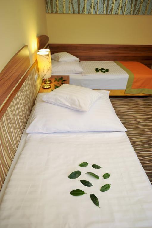 Park Hotel Gyula Rom bilde